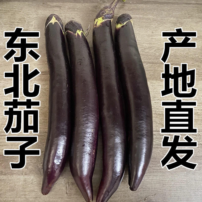东北农家黑茄子新鲜1-5斤每天采摘笨茄子产地直发紫茄子新鲜顺丰