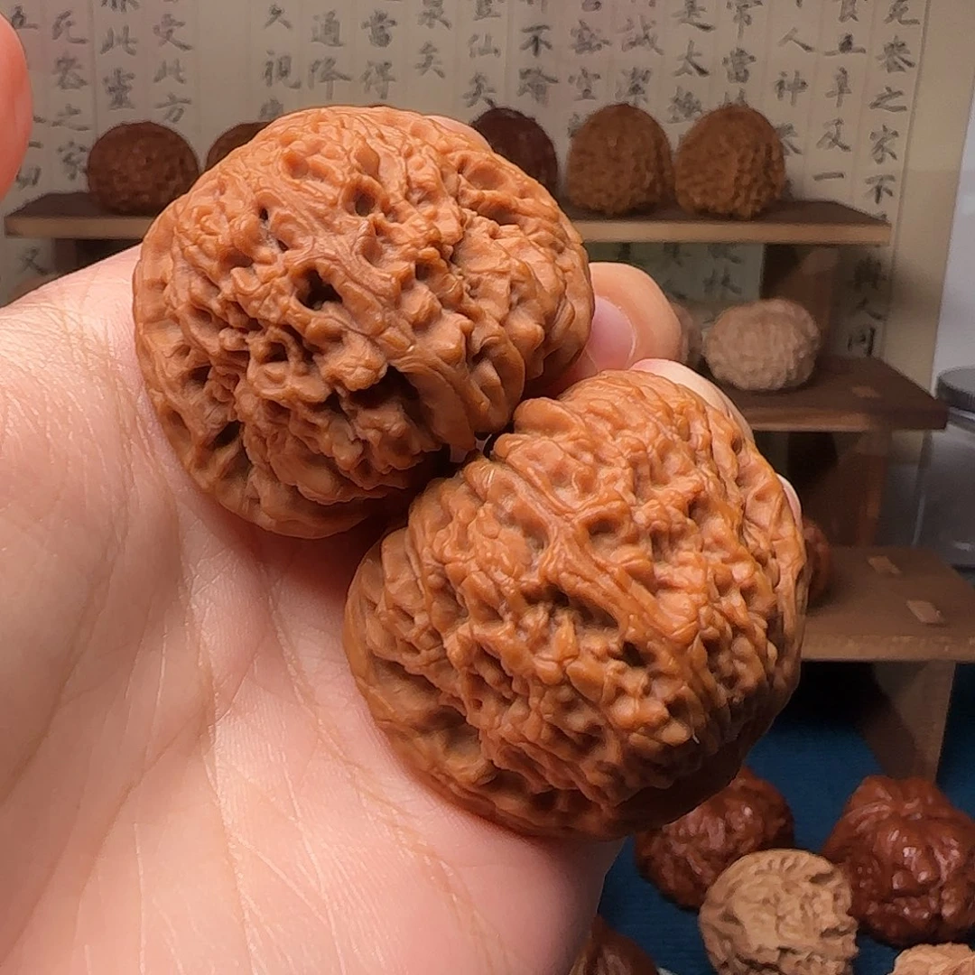 44全品赵喜满南疆石