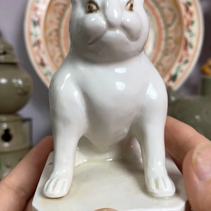 杯瓷器等的收藏品及实物