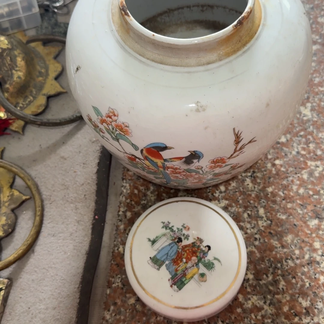 杂色豆（科檀/科特迪瓦檀木）健****始