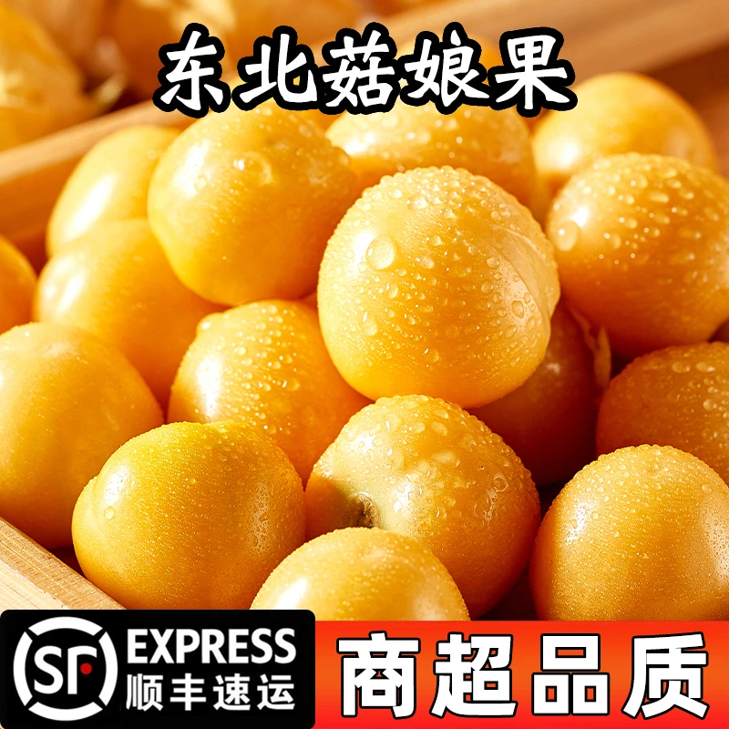 东北菇娘果新鲜水果灯笼果大果黄姑娘果谷鸟菇茑甜菇凉应季水果
