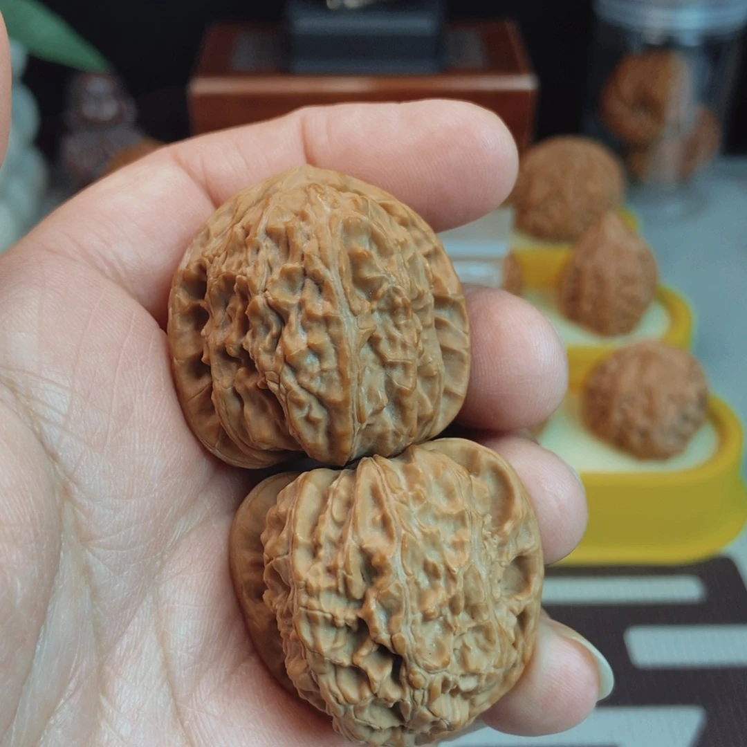 福利白狮子核桃手把件！