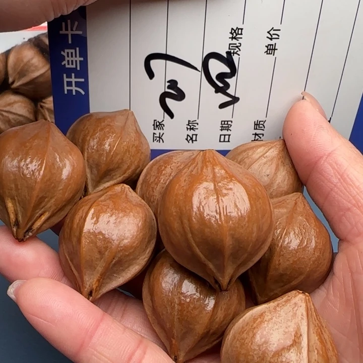 鹏***哥橄榄核手串橄榄核