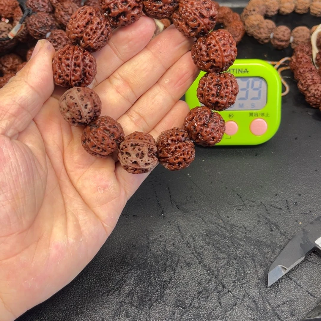 吊坠金刚菩提23尺老树