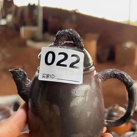 戬谷龙窑柴烧茶壶022