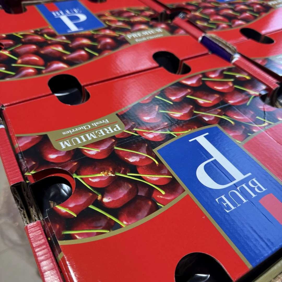 {顺丰包邮}蓝P智利当季采摘双J桑提娜车厘子一箱5斤（整箱发货，10颗以上包赔果柄压痕表面坑洼正常现象）