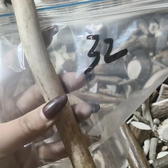 上***水鹿角鹿角鹿角鹿角鹿角鹿角