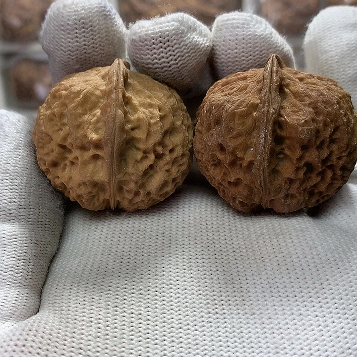 核桃精品手拟25号