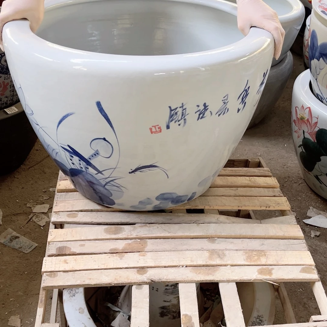 瓷片兰荷花60.888888888698