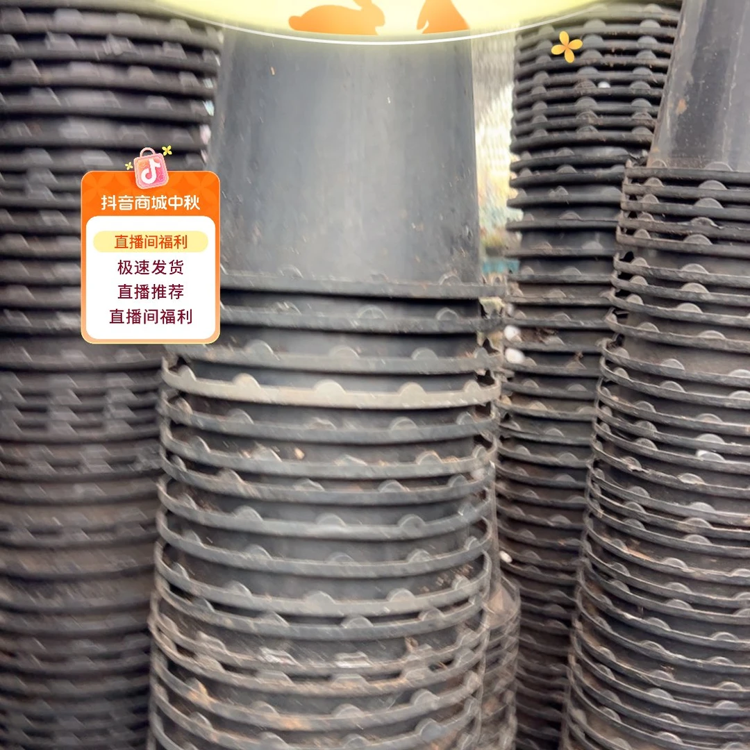 花边兰花万象盆14.5口径16高10个