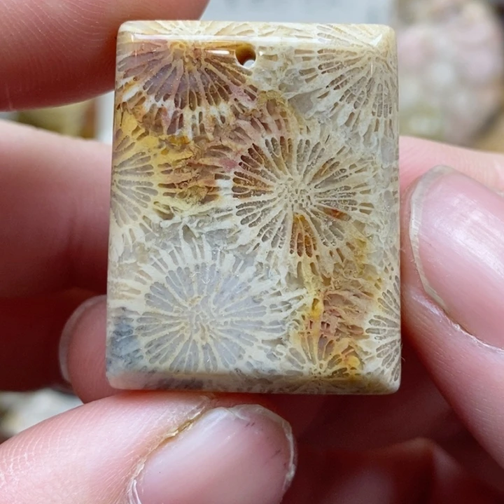 颈饰未镶嵌硅化珊瑚（珊瑚玉）有瑕 小