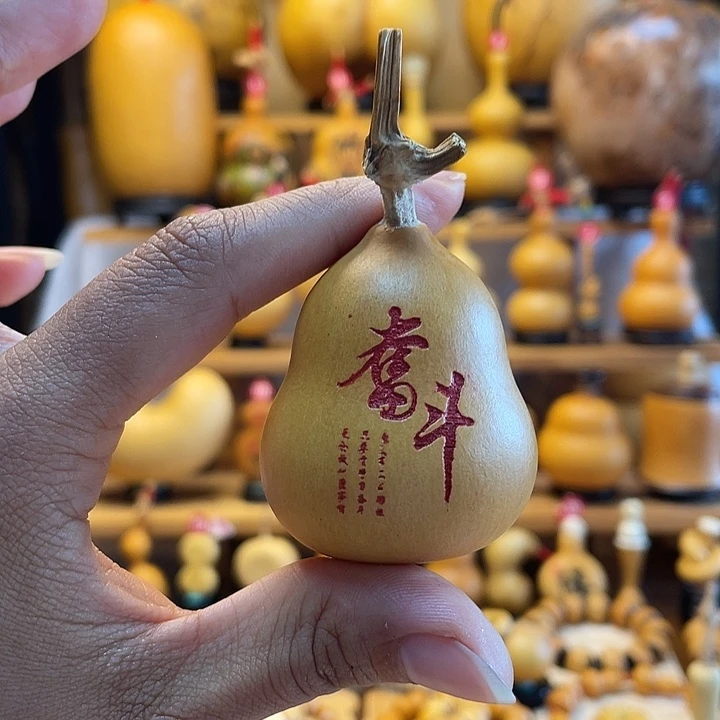 *****天然葫芦自然生长