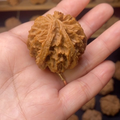 合***实文玩核桃把件核桃