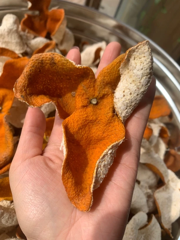 【梅江 冬后大红皮 12.22采摘 蜜香高甜】2024年新会陈皮