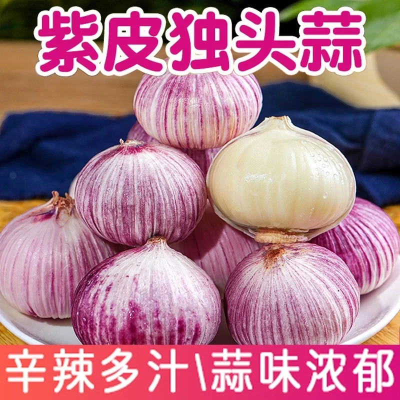 【新鲜干蒜】2025正宗紫皮独头蒜大蒜独蒜独蒜头当季新鲜干蒜蔬菜