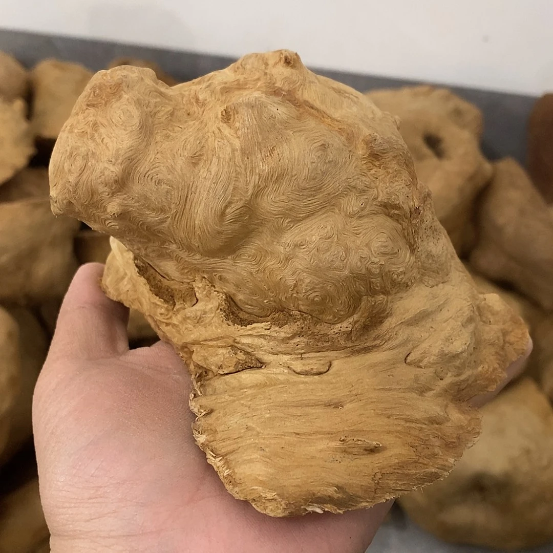 荔枝木절***도荔枝木不挖