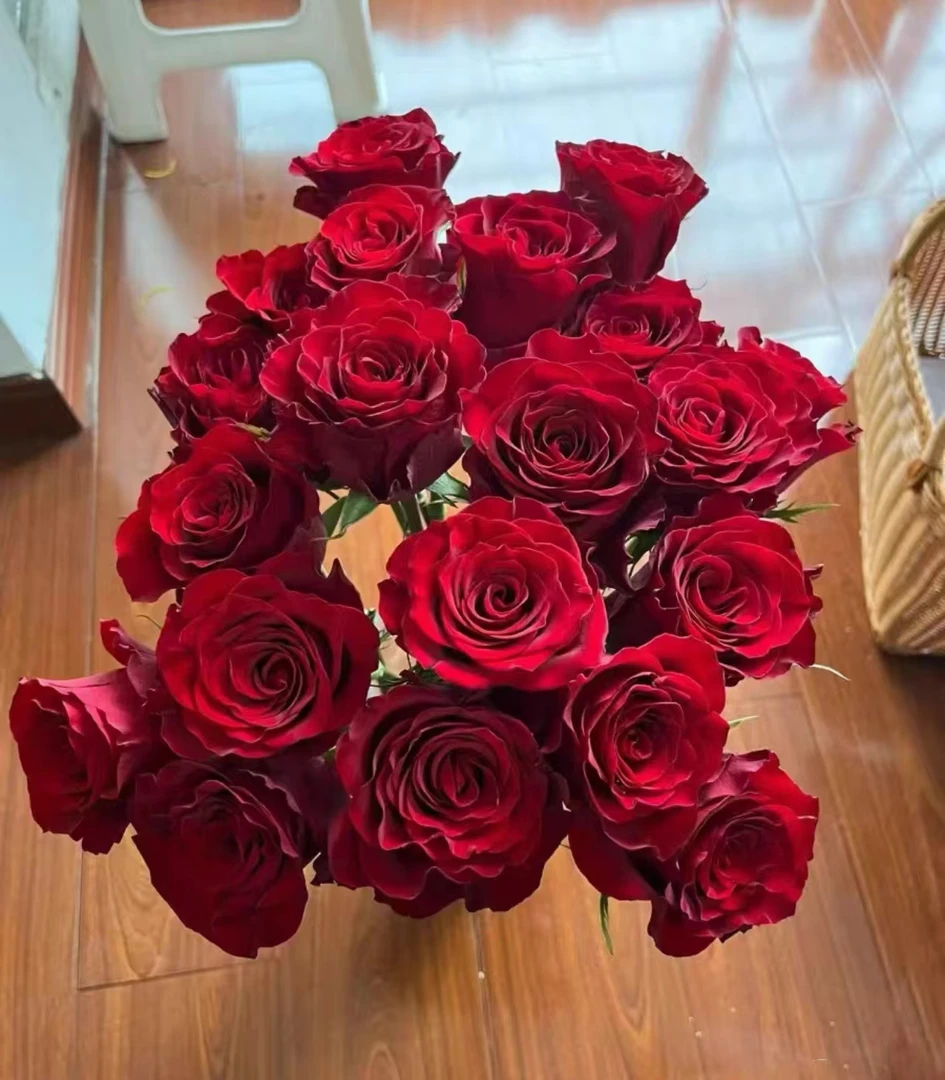 【高原红】家用鲜花全场鲜花任意满两单升顺丰3单送配草手捧花玫瑰