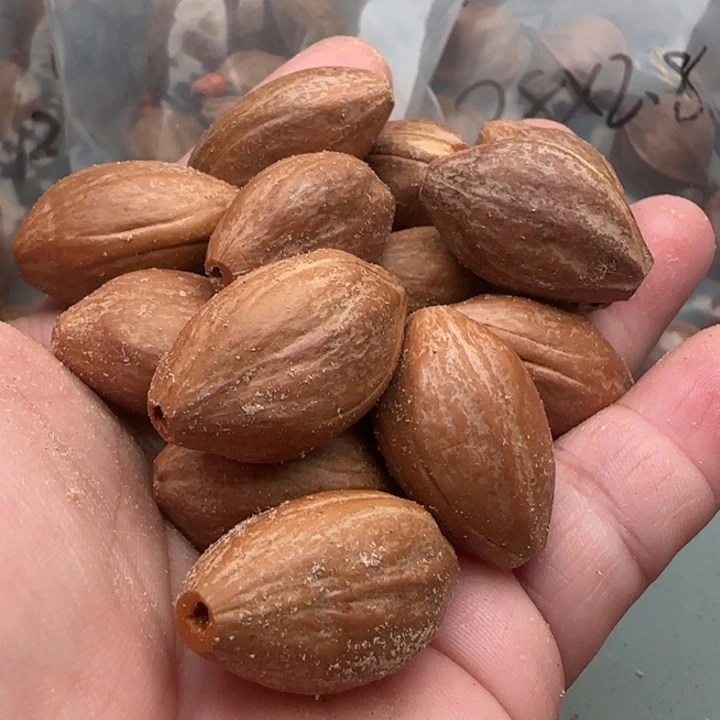 橄榄核手串橄榄核原皮单颗