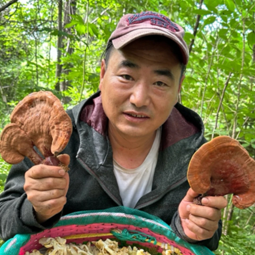 野生灵芝干品50克