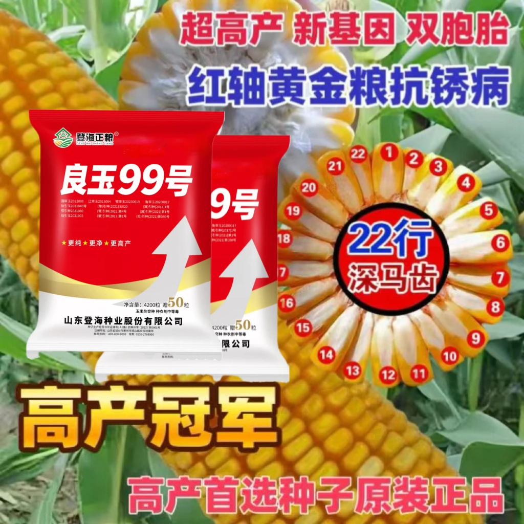 全国通种良玉99玉米种高产抗病原装正品玉米种良玉99良玉99玉米种
