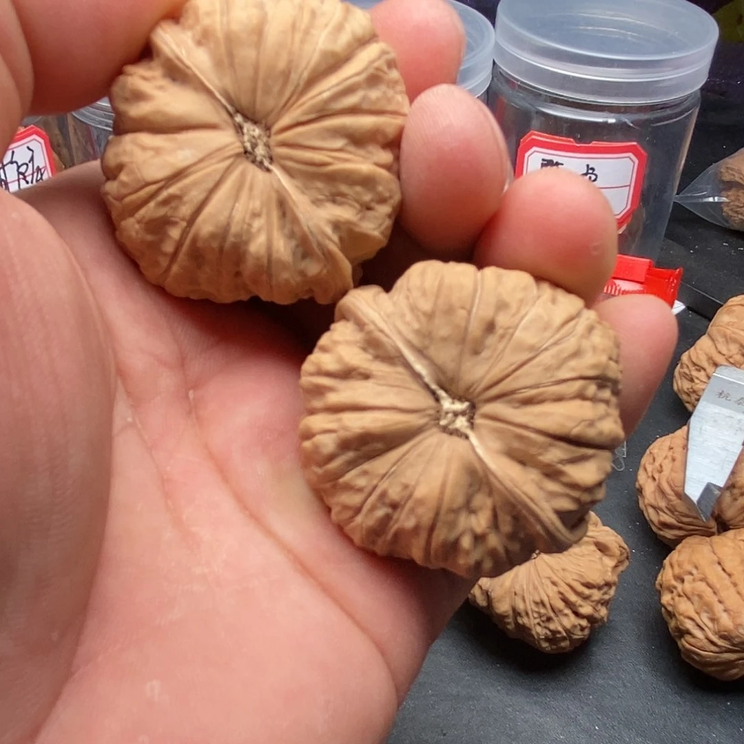 文玩核桃把件流**薯南瓜45