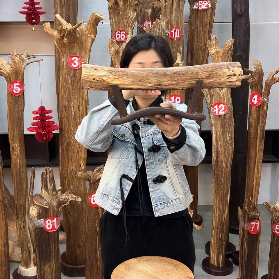 沉香摆件海南沉香摆件