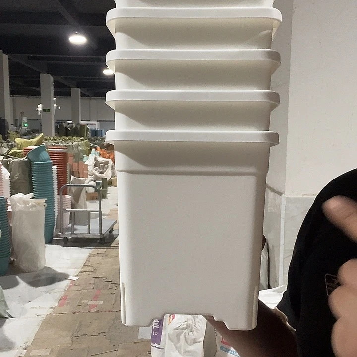 方1号白微瑕5个无托盘