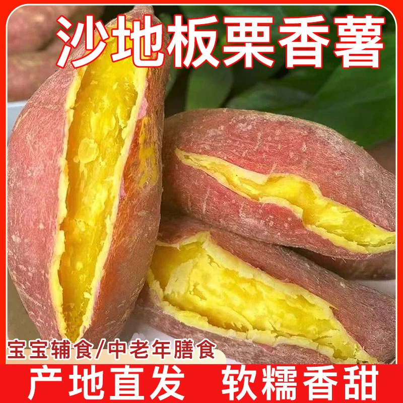 【买3斤送2斤】沙地板栗红薯粉面软糯地瓜新鲜现挖红薯沙地番薯粗粮