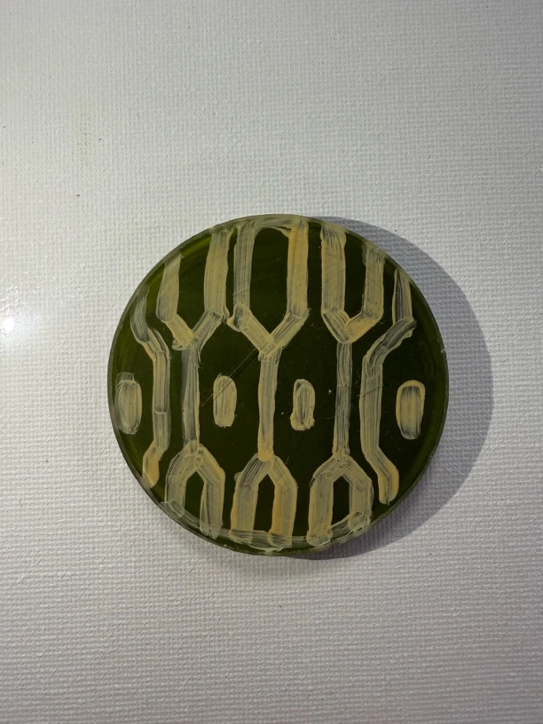 新疆包邮 民族文化冰箱贴 纯手工制作 独品