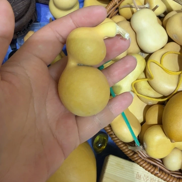 阿***M竹类贵妃蚂蚁葫芦