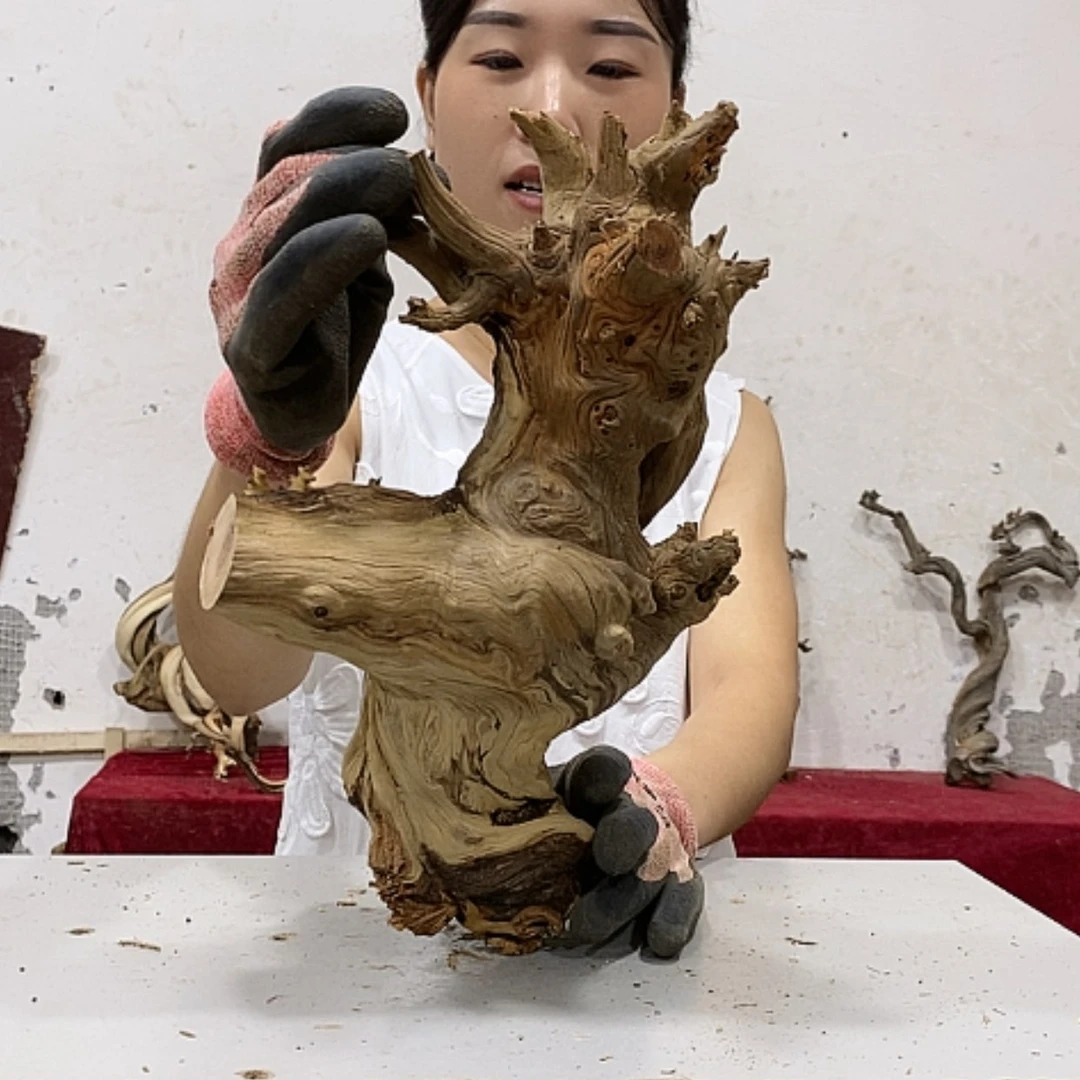【闪购商品】柏木用****9我们都是好孩子