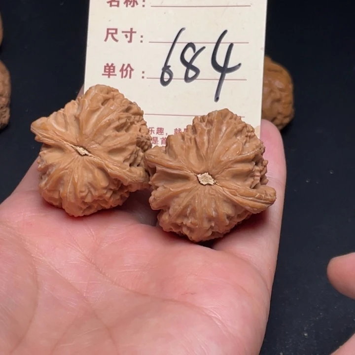 文玩核桃把件白狮子37尺全品白茬684