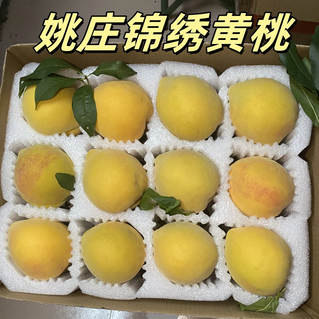 正宗姚庄锦绣黄桃新鲜水果现摘现发香甜脆爽桃子