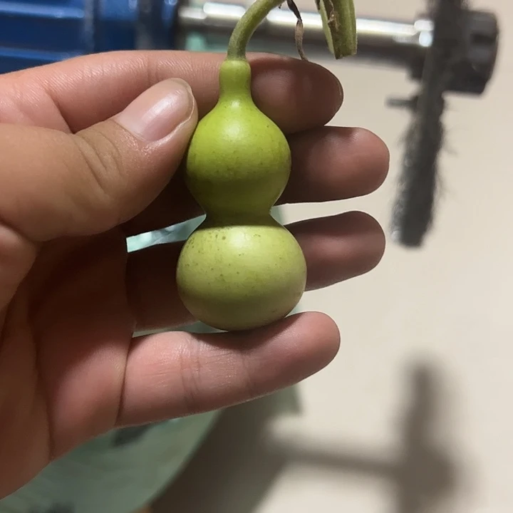 水***月有机玻璃蚂蚁蚂蚁蚂蚁蚂蚁