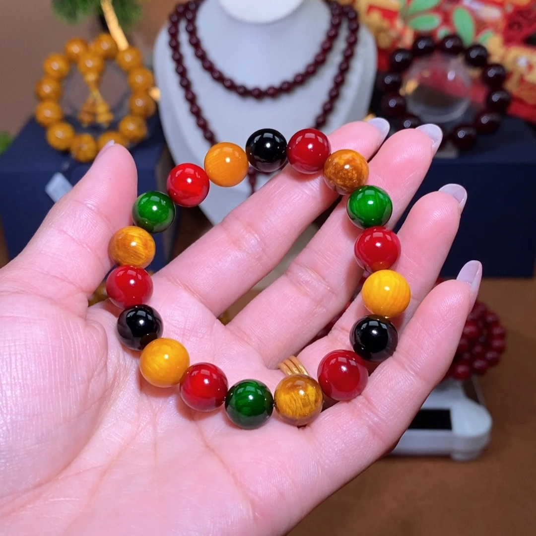 贝壳杉“**”血龙木1.0多宝