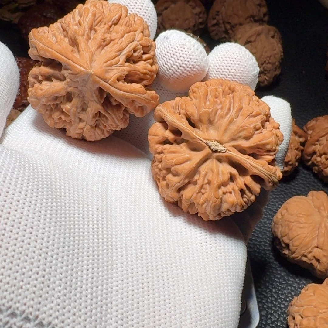 吊坠文玩核桃顺丰到付大粗筋