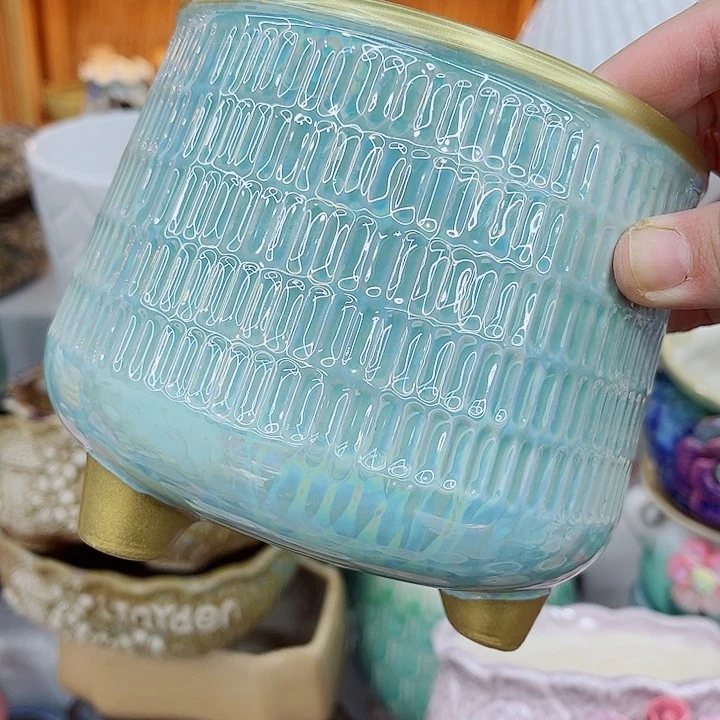 多肉植物陶瓷花盆