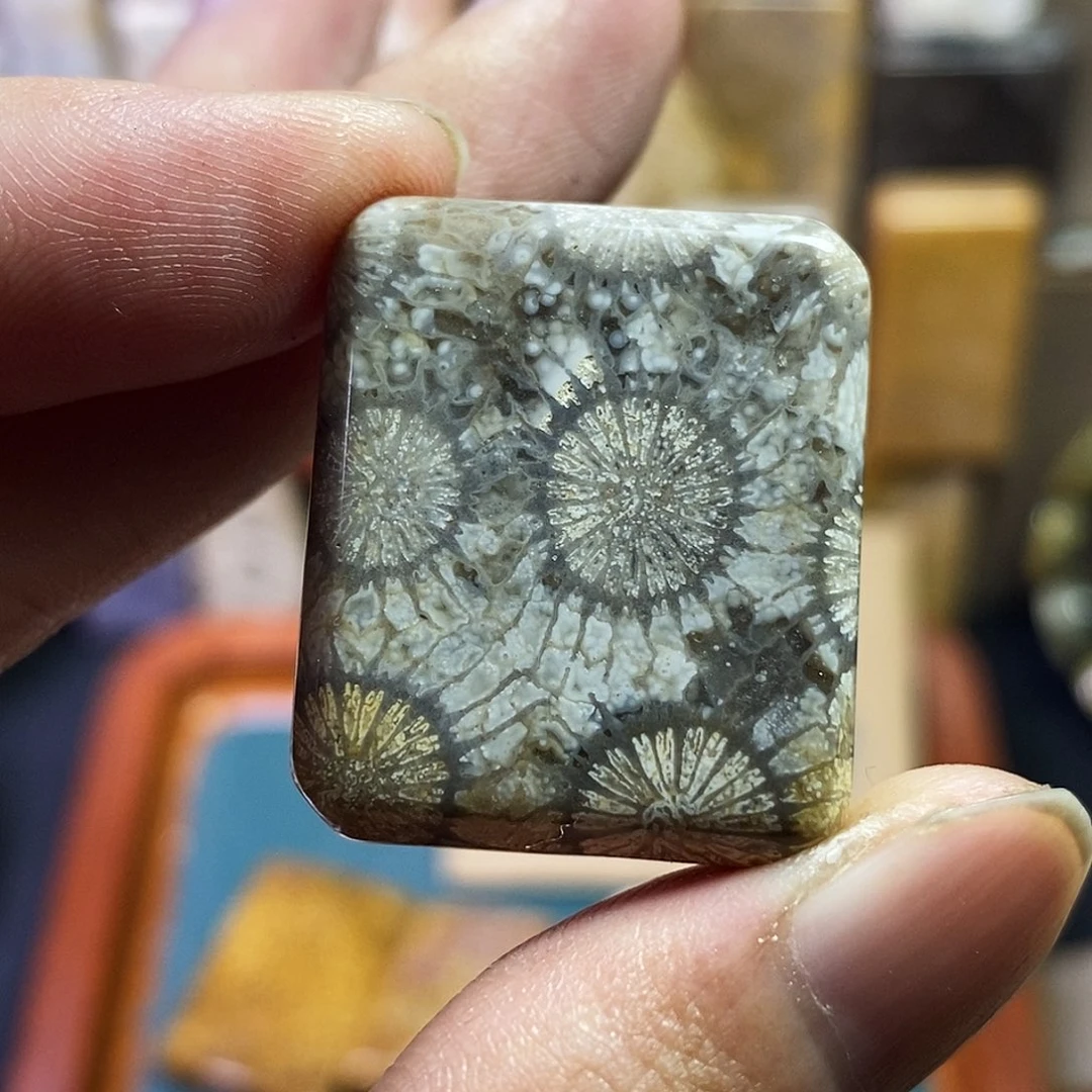 硅化珊瑚（珊瑚玉）吊坠未镶嵌我***袄