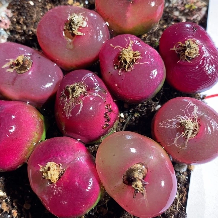 2130一组一组一组