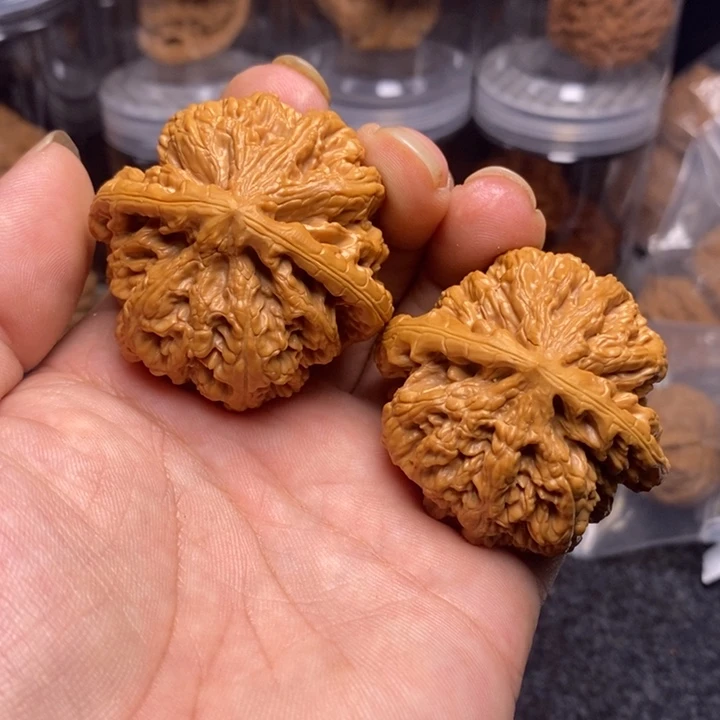 文玩核桃吊坠48大粗筋