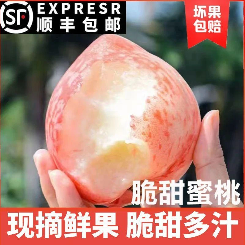 高山小脆桃】顺丰包邮】正宗毛桃脆桃脆甜新鲜香甜4.6斤现摘果园