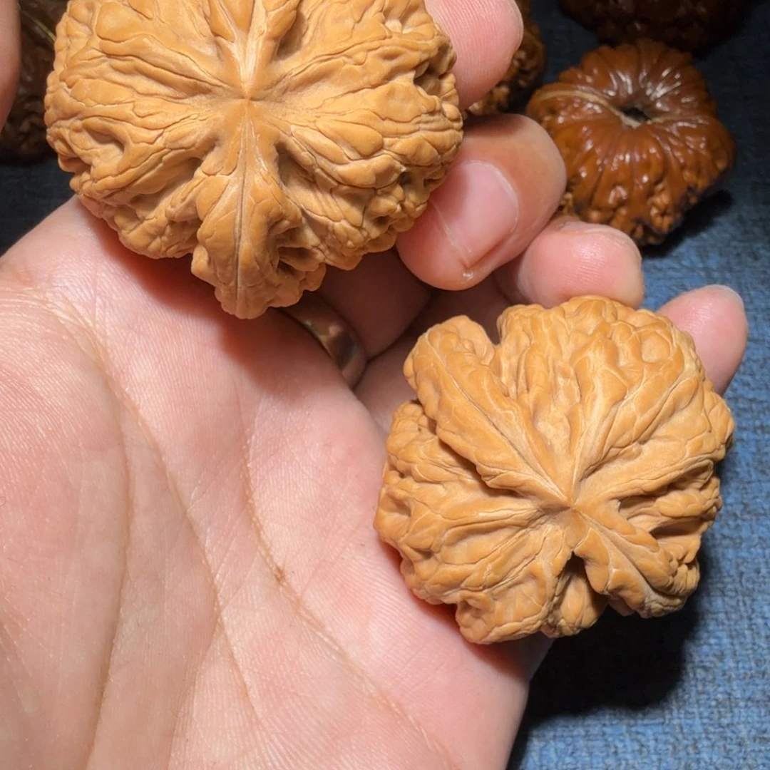 文玩核桃把件富*炮红锦鲤44尺寸1708