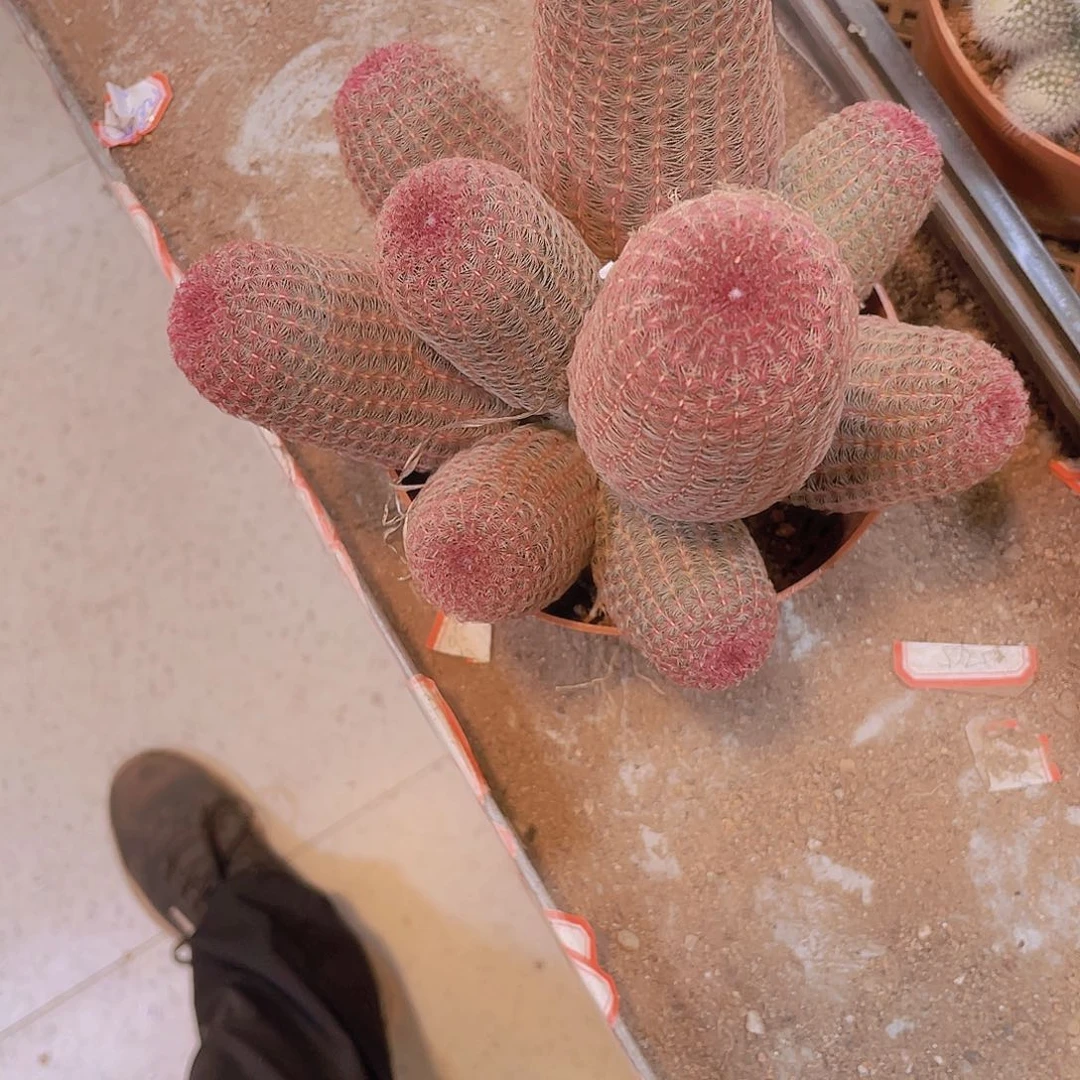 无花朵萱***顺风顺水！！顺风顺水