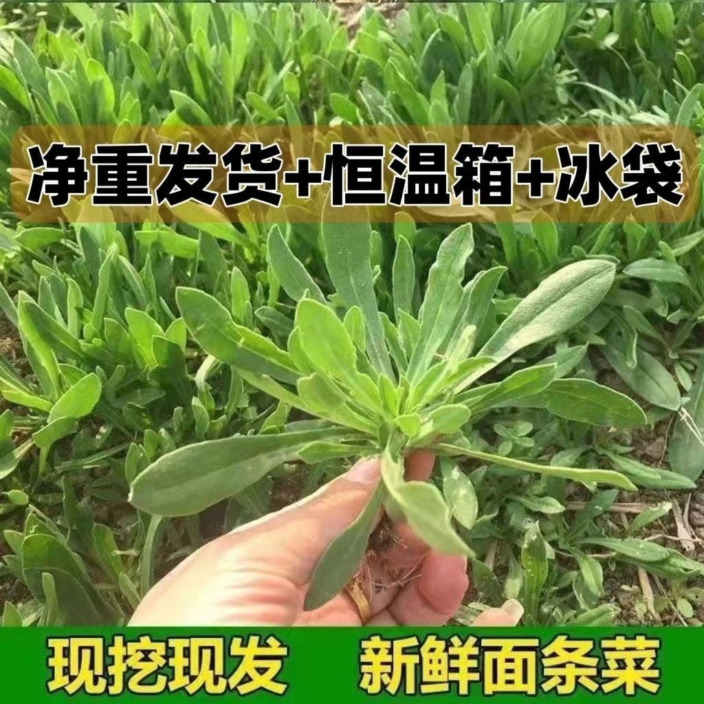 【京东冷链】农家妈妈现摘现发1斤新鲜野生面条菜蒸菜蔬菜羊蹄颗