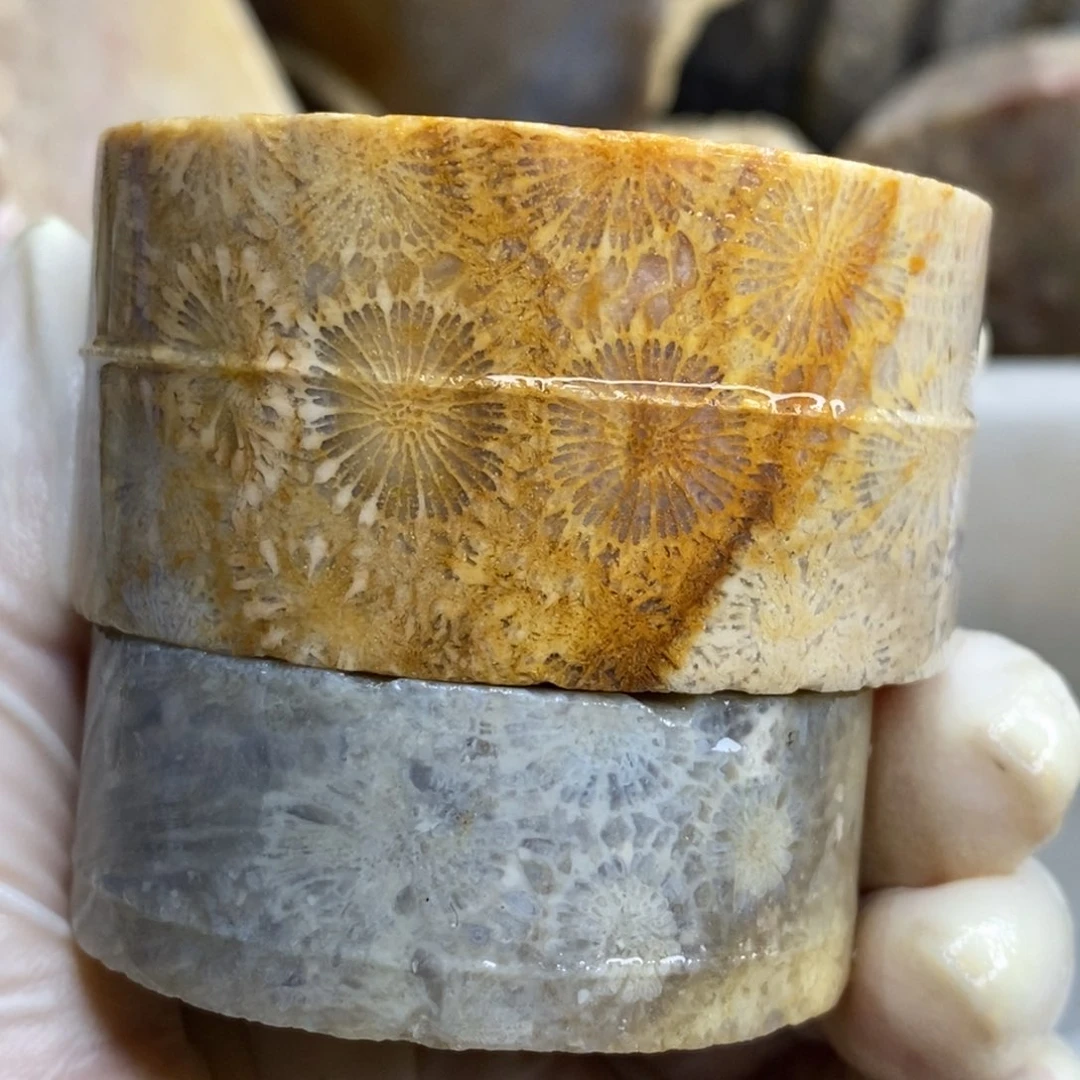 【闪购商品】硅化玉珊瑚玉未镶嵌