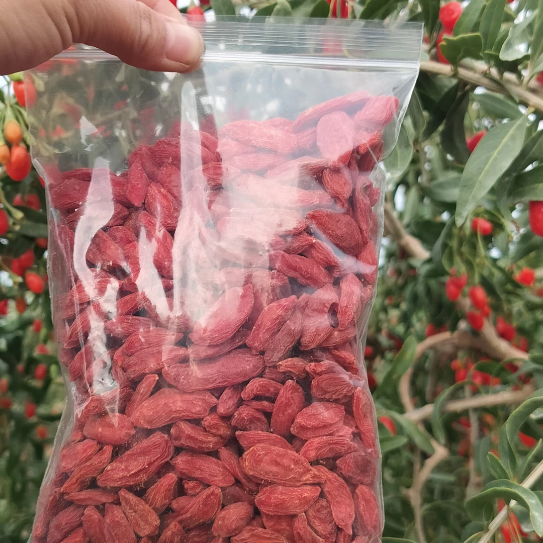 【产地直发】25青海诺木洪头茬新货大果红枸杞7-8品种