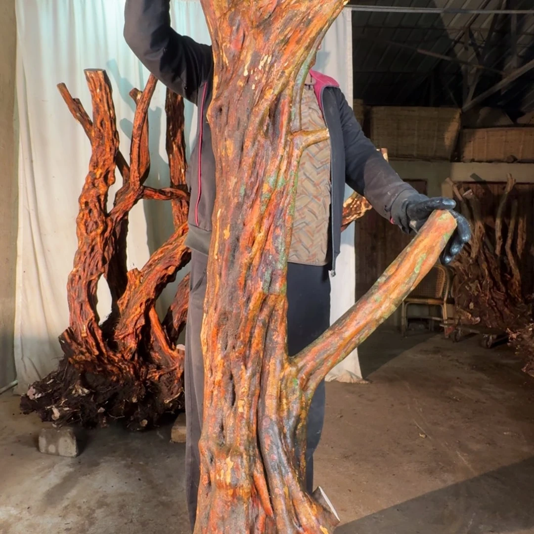 Q***i55555555555555555555