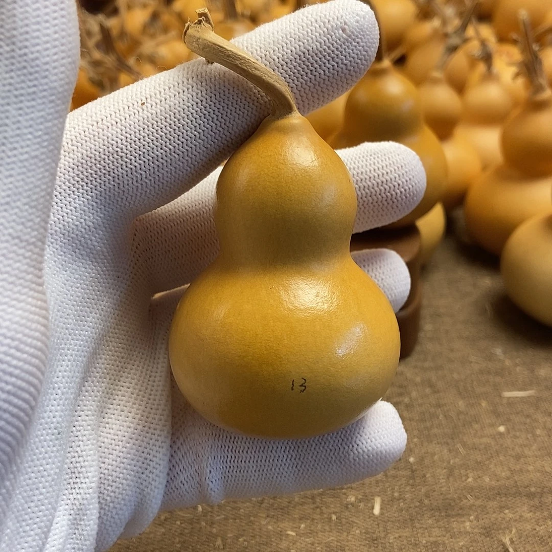 文玩葫芦 完美主义者 慎拍13
