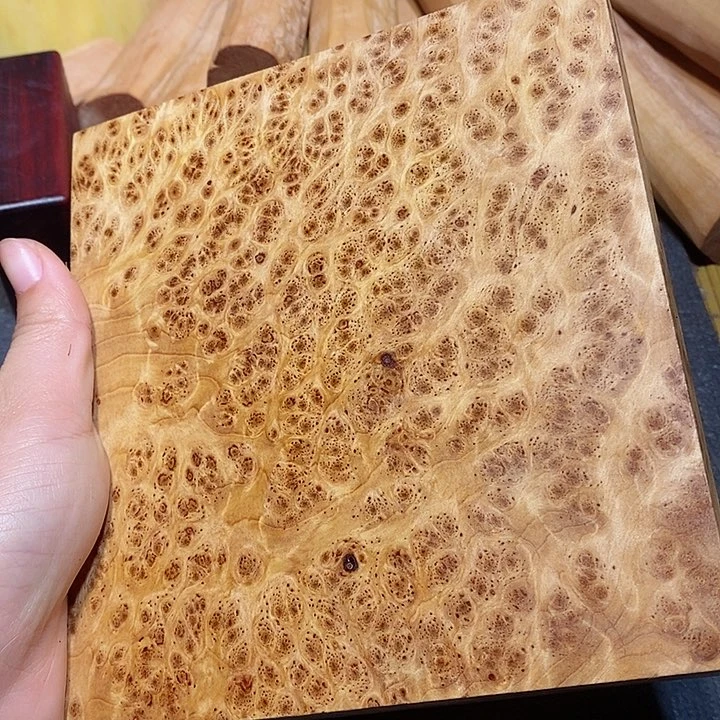 风车木（黑檀木）四川崖柏香山枯木留