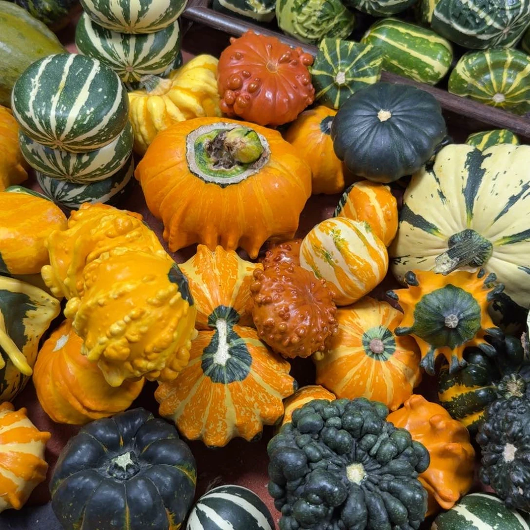 哆***梦饿哦饿哦饿哦饿哦饿哦